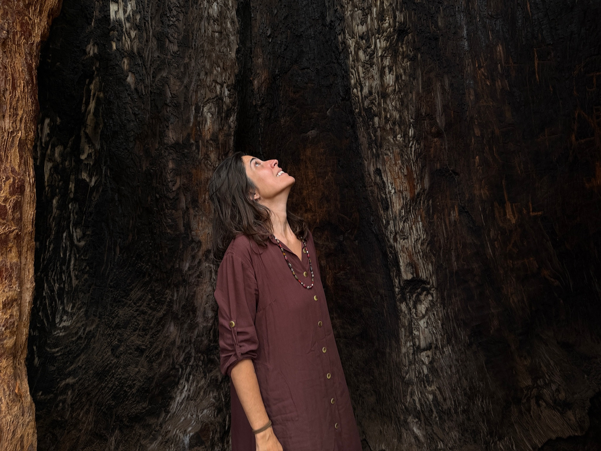 Marina olhando para o alto, entre troncos de sequoias